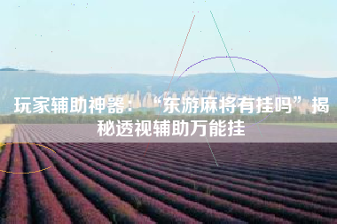 玩家辅助神器：“东游麻将有挂吗”揭秘透视辅助万能挂