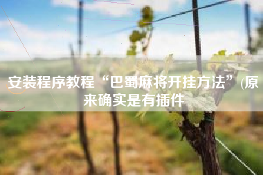 安装程序教程“巴蜀麻将开挂方法	”(原来确实是有插件