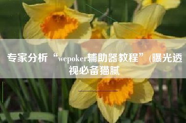 专家分析“wepoker辅助器教程”(曝光透视必备猫腻