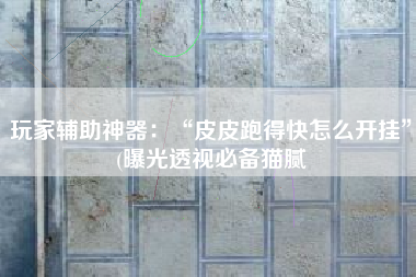 玩家辅助神器：“皮皮跑得快怎么开挂”(曝光透视必备猫腻