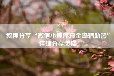 教程分享“微信小程序白金岛辅助器”详细分享装挂