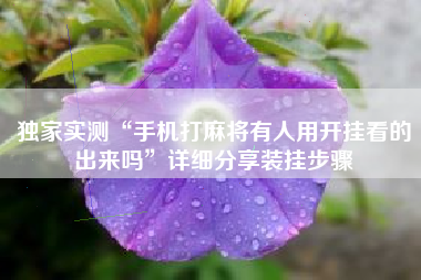 独家实测“手机打麻将有人用开挂看的出来吗	”详细分享装挂步骤