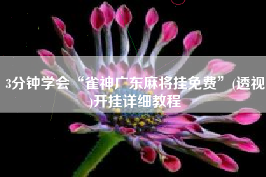 3分钟学会“雀神广东麻将挂免费	”(透视)开挂详细教程