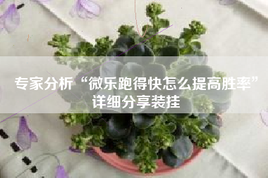 专家分析“微乐跑得快怎么提高胜率	”详细分享装挂
