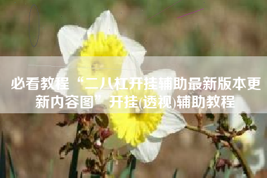 必看教程“二八杠开挂辅助最新版本更新内容图	”开挂(透视)辅助教程