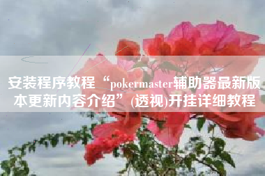 安装程序教程“pokermaster辅助器最新版本更新内容介绍	”(透视)开挂详细教程