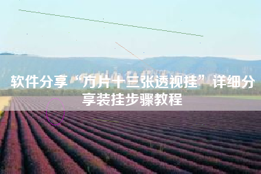 软件分享“方片十三张透视挂”详细分享装挂步骤教程