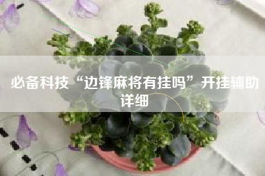 必备科技“边锋麻将有挂吗”开挂辅助详细