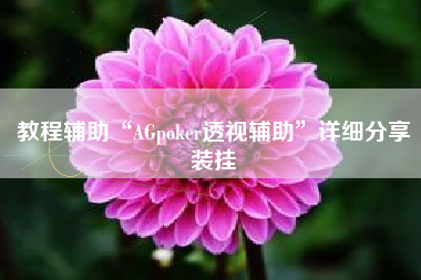 教程辅助“AGpoker透视辅助”详细分享装挂
