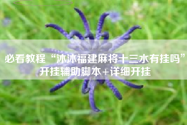 必看教程“沐沐福建麻将十三水有挂吗”开挂辅助脚本+详细开挂