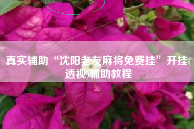 真实辅助“沈阳老友麻将免费挂	”开挂(透视)辅助教程