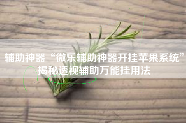 辅助神器“微乐辅助神器开挂苹果系统	”揭秘透视辅助万能挂用法