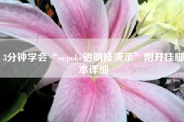 3分钟学会“wepoke透明挂演示”附开挂脚本详细