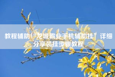 教程辅助“龙城霸业手机辅助挂”详细分享装挂步骤教程