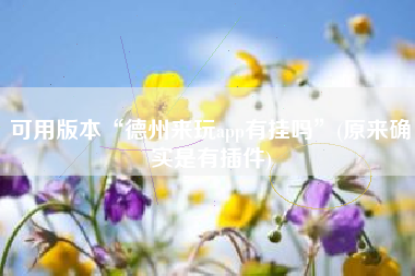 可用版本“德州来玩app有挂吗	”(原来确实是有插件)