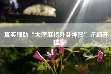 真实辅助“大唐麻将外卦神器”详细开挂