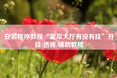 安装程序教程“蜜瓜大厅有没有挂	”开挂(透视)辅助教程
