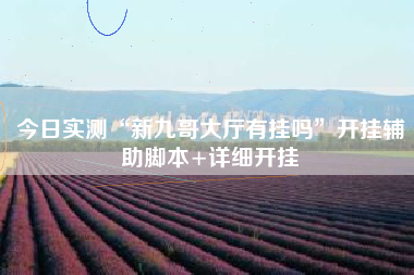 今日实测“新九哥大厅有挂吗”开挂辅助脚本+详细开挂