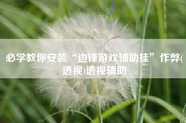 必学教你安装“边锋游戏辅助挂	”作弊(透视)透视辅助