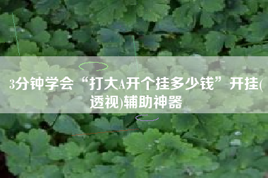 3分钟学会“打大A开个挂多少钱	”开挂(透视)辅助神器
