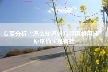 专家分析“怎么知道对方打麻将用挂”(原来确实是有挂)