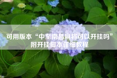 可用版本“中至南昌麻将可以开挂吗”附开挂脚本详细教程
