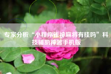 专家分析“小程序雀神麻将有挂吗”科技辅助神器手机版