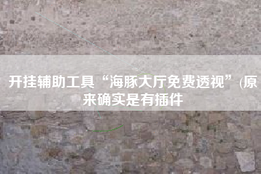 开挂辅助工具“海豚大厅免费透视”(原来确实是有插件