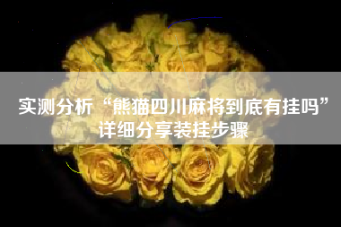 实测分析“熊猫四川麻将到底有挂吗”详细分享装挂步骤