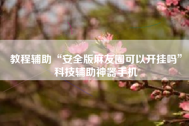 教程辅助“安全版麻友圈可以开挂吗	”科技辅助神器手机