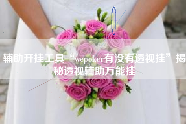 辅助开挂工具“wepoker有没有透视挂	”揭秘透视辅助万能挂