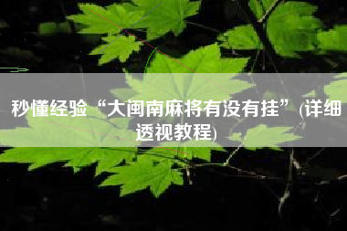 秒懂经验“大闽南麻将有没有挂	”(详细透视教程)