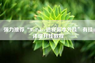 强力推荐“WePoker透视脚本外挂	”有挂详细开挂教程