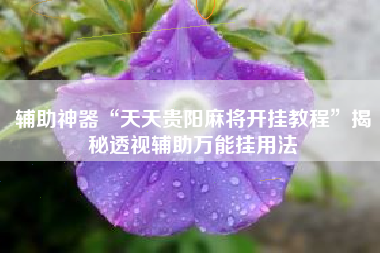 辅助神器“天天贵阳麻将开挂教程”揭秘透视辅助万能挂用法