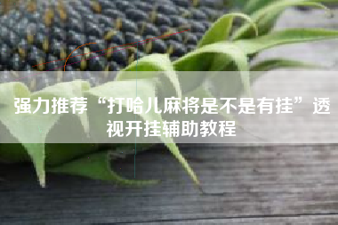 强力推荐“打哈儿麻将是不是有挂”透视开挂辅助教程