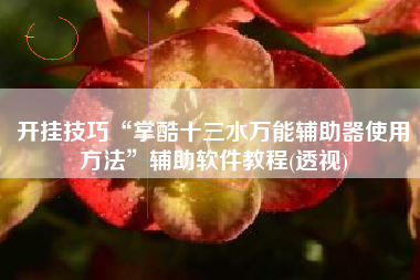 开挂技巧“掌酷十三水万能辅助器使用方法	”辅助软件教程(透视)