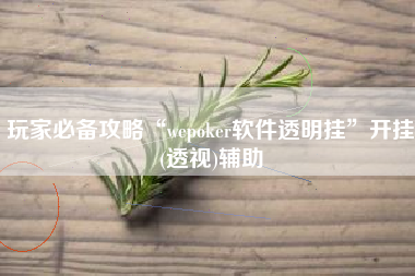 玩家必备攻略“wepoker软件透明挂”开挂(透视)辅助