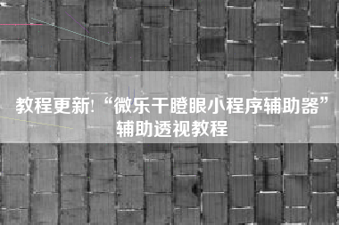 教程更新!“微乐干瞪眼小程序辅助器”辅助透视教程