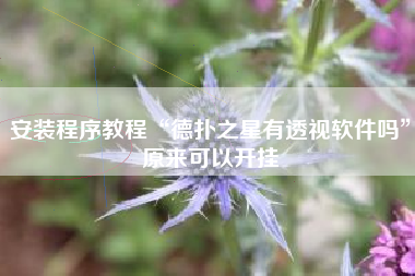 安装程序教程“德扑之星有透视软件吗	”原来可以开挂