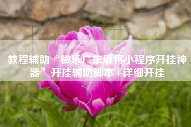 教程辅助“微乐广东麻将小程序开挂神器”开挂辅助脚本+详细开挂