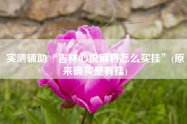 实测辅助“吉林心悦麻将怎么买挂”(原来确实是有挂)