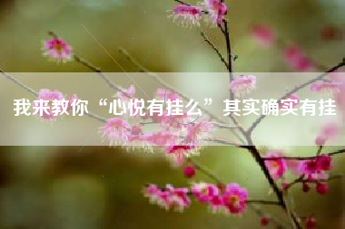 我来教你“心悦有挂么”其实确实有挂
