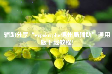 辅助分享“wepokerplus德州局辅助	”通用版下载教程!
