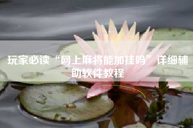 玩家必读“网上麻将能加挂吗”详细辅助软件教程