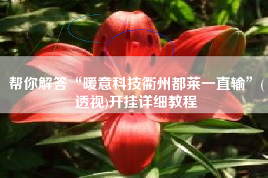 帮你解答“暖意科技衢州都莱一直输”(透视)开挂详细教程