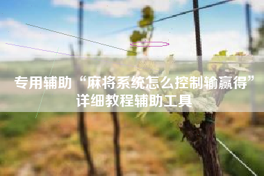 专用辅助“麻将系统怎么控制输赢得”详细教程辅助工具